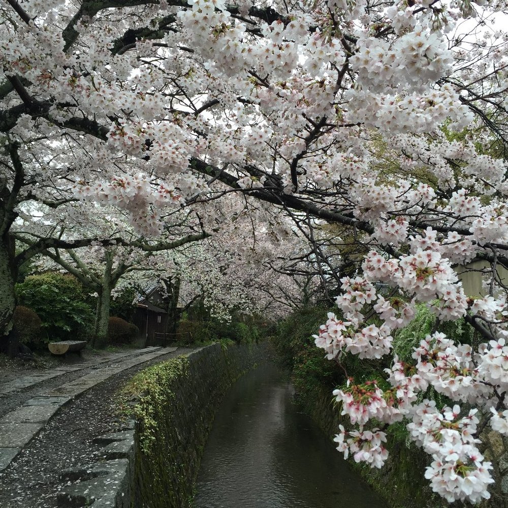 Meet your Posher, Jung